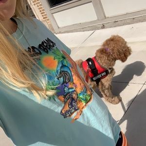 Meet your Posher, Lily